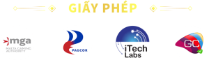 Giấy phép hoạt động của SC88